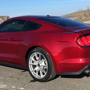 2015 Ruby Red Eco-Boost "Turbo Pony"