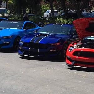 4 GT350 R's and 4 GT350's