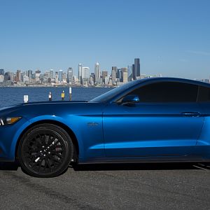 Mystang with Seattle in the background
