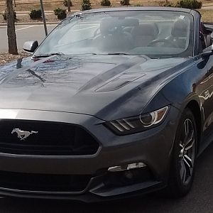 mustang20180317 1