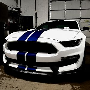 White shelby front