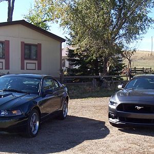 2001and2017GT's 007