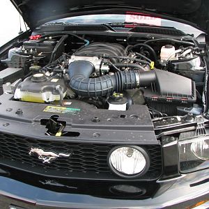 05 GT stock engine