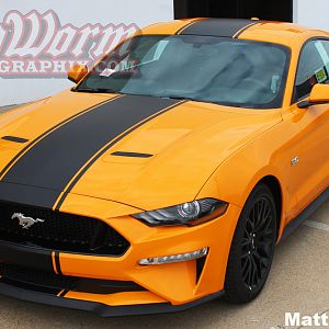 2018 Mustang Supersnake Style Stripes in Matte Black
https://www.bigwormgraphix.com/2018-mustang-supersnake-style-full-length-stripes.html