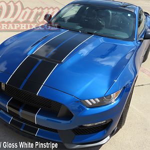 Gloss Black w/gloss white pinstripes
https://www.bigwormgraphix.com/2015-17-gt350-full-length-stripes.html