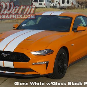 2018 Mustang Wide Dual Stripes gloss white w/ gloss black pinstripe
https://www.bigwormgraphix.com/2018-mustang-wide-dual-full-length-stripes.html