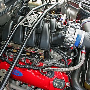 2005 Mustang GT350 (Tribute)