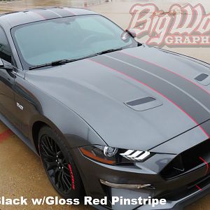 2018 Mustang with Narrow full length stripe - matte black w/gloss red pinstripe
https://www.bigwormgraphix.com/2018-mustang-narrow-dual-full-length-s