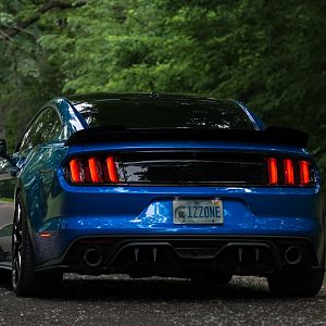 Mustang 9