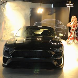 McQueen Bullitt European Launch at Auto IN Czech Republic