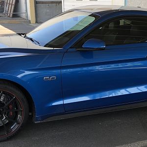 2019 GT