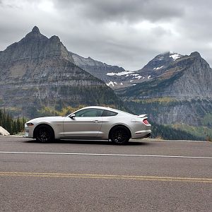 Mustang GT In Glacier