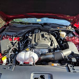 2017 Ford Mustang EcoBoost (2.3L, i4) Engine