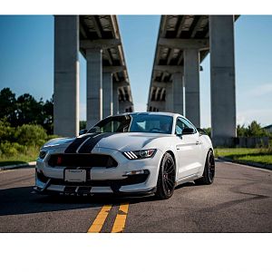 GT350R Photoshoot-1C