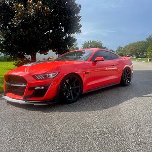 My5Oh1.jpg