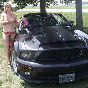MY 2008 SHELBY