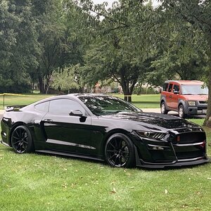 IMG_2221.jpeg