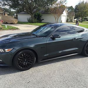 2015 Mustang GT (Guard)