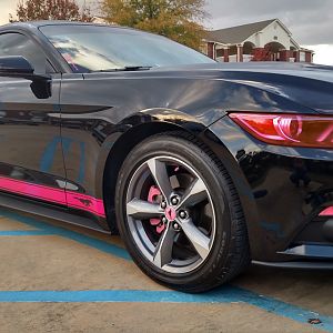 Showing rocker panel vinyl, painted brake calipers, wheel center caps, Lamin-X headlights, signal turners, foglight. replaced turn signals with LED sw