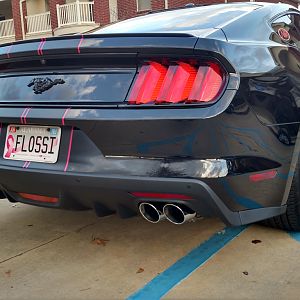 Showing Roush quad tip exhaust, Stanginator pony emblem, and Lamin-X reverse light