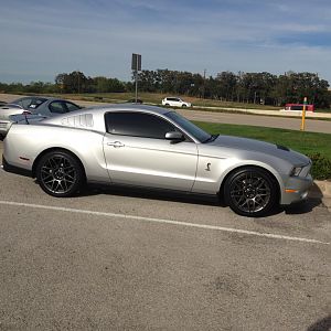 2012 Shelby