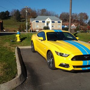 Custom fire hydrant marks my parking spot