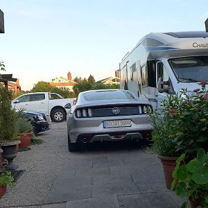 Silvy 5.0 Mustang GT Auto PP Elena Bücker Alois Buecker 32