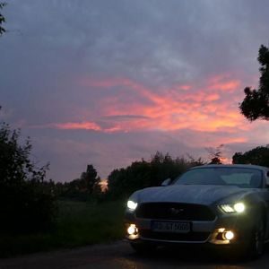 Silvy sonnenaufgang 5.0 Mustang GT Auto PP Elena Bücker Alois Buecker 08