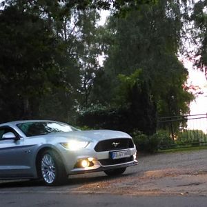 Silvy sonnenaufgang 5.0 Mustang GT Auto PP Elena Bücker Alois Buecker 09