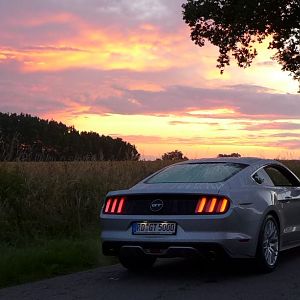 Silvy sonnenaufgang 5.0 Mustang GT Auto PP Elena Bücker Alois Buecker 16