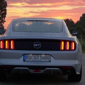 Silvy sonnenaufgang 5.0 Mustang GT Auto PP Elena Bücker Alois Buecker 20