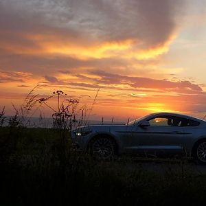 Silvy sonnenaufgang 5.0 Mustang GT Auto PP Elena Bücker Alois Buecker 23