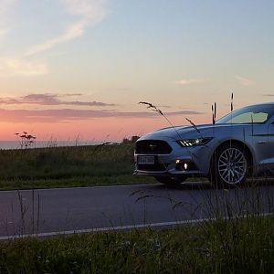 Silvy sonnenaufgang 5.0 Mustang GT Auto PP Elena Bücker Alois Buecker 35