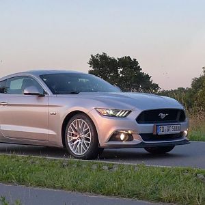 Silvy sonnenaufgang 5.0 Mustang GT Auto PP Elena Bücker Alois Buecker 36