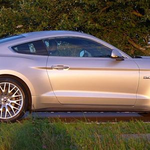 Silvy sonnenaufgang 5.0 Mustang GT Auto PP Elena Bücker Alois Buecker 44