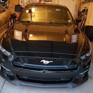 Stang 1