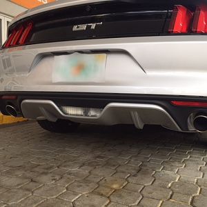 Stang   rear before1