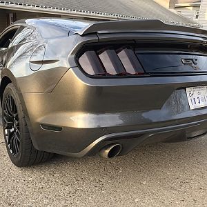 After Tinted Tails