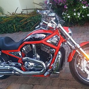 2006 Harley V-Rod Screamin' Eagle