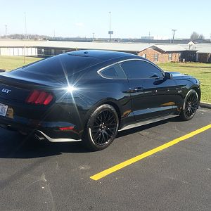 Mustang Rear