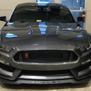 Shelby Front