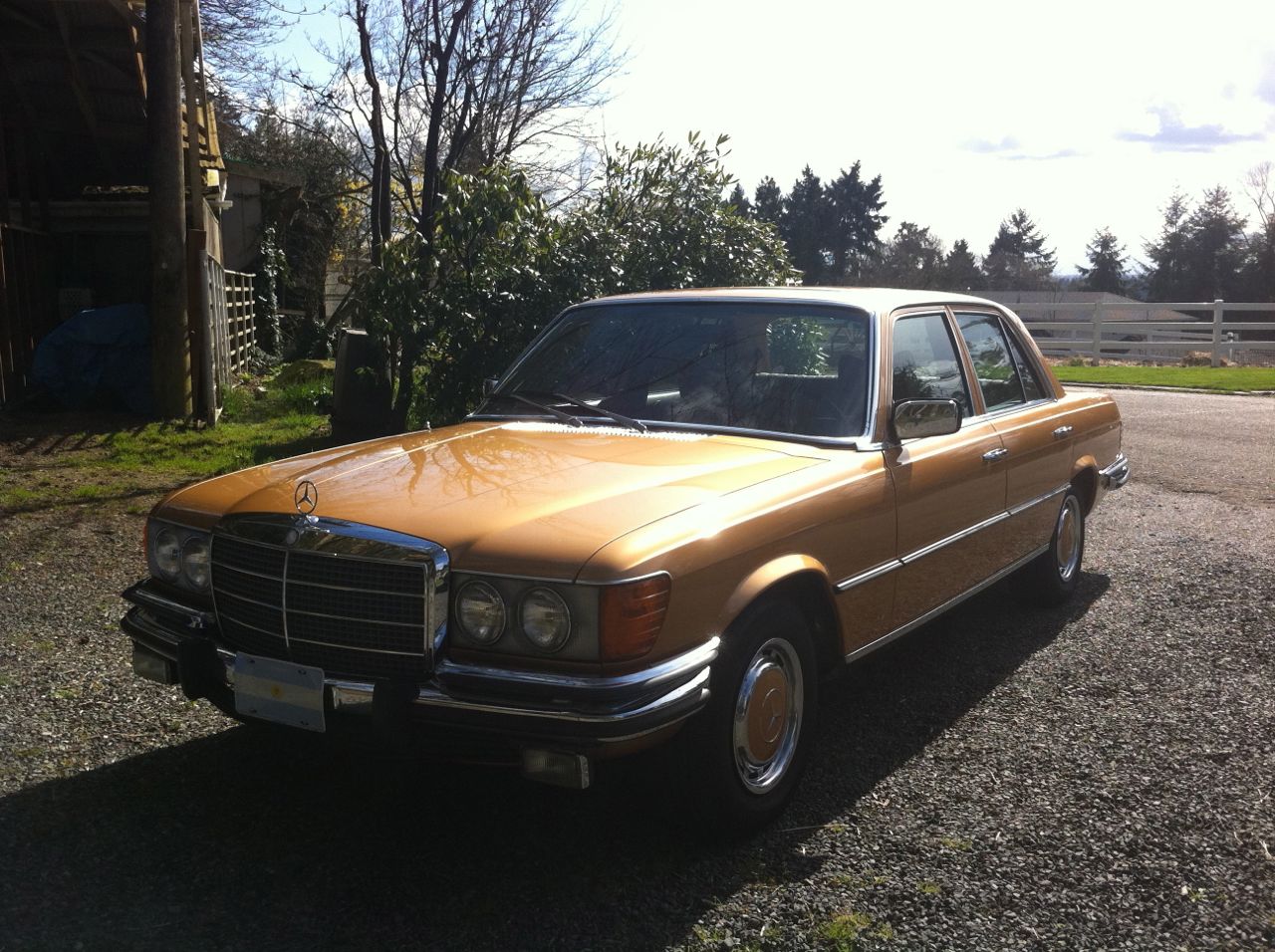 "Goldie" 
1973 450SE, first year "S" class.
Euro Bumpers
Fully restored
Wife's old ride.