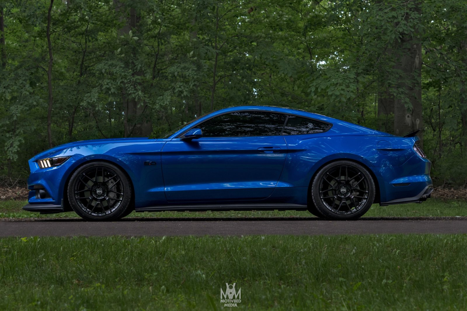 Mustang 7