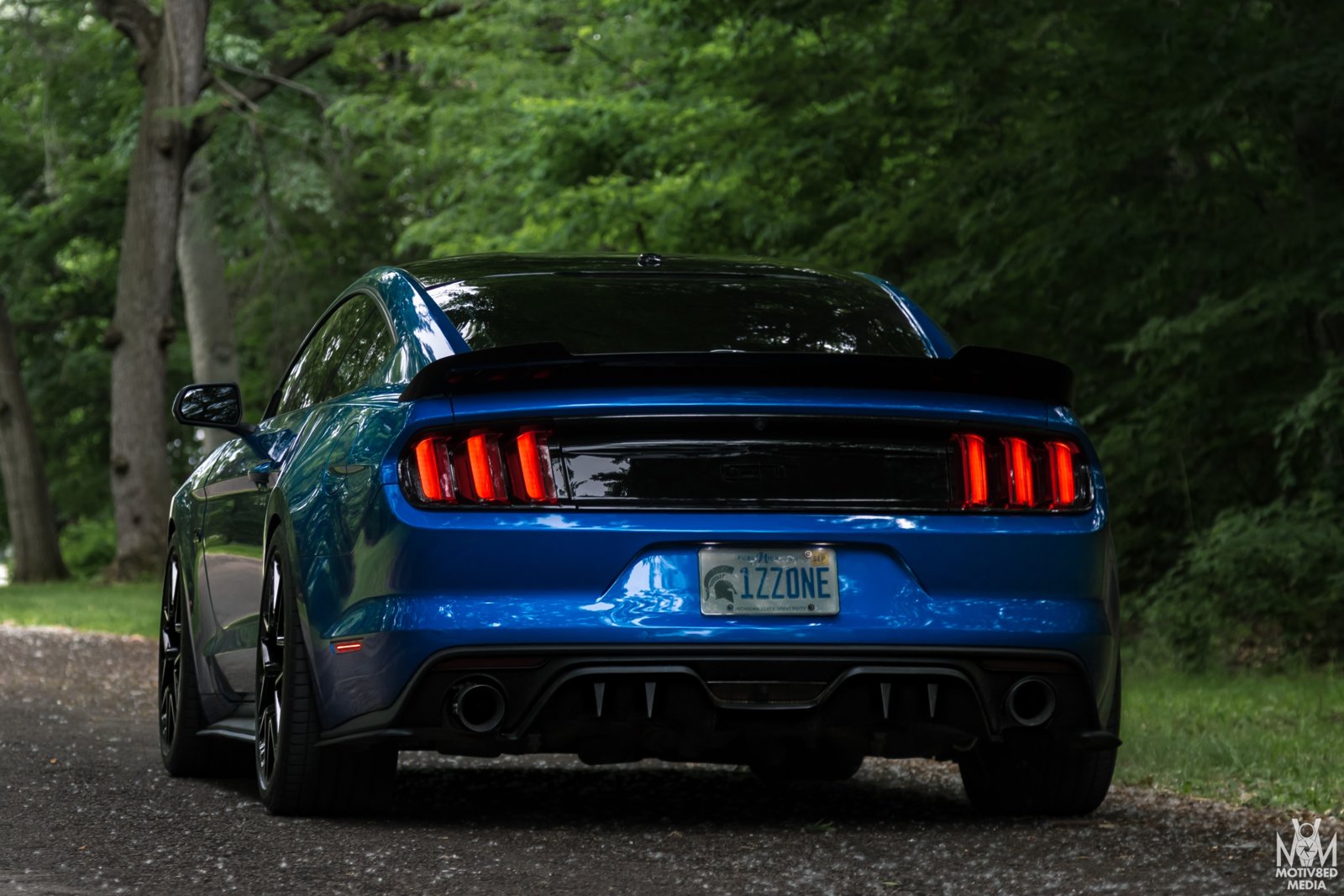 Mustang 9
