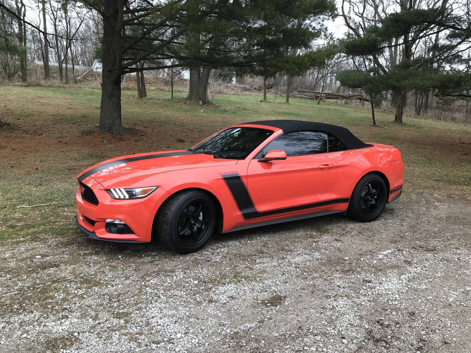 My 2015 Mustang