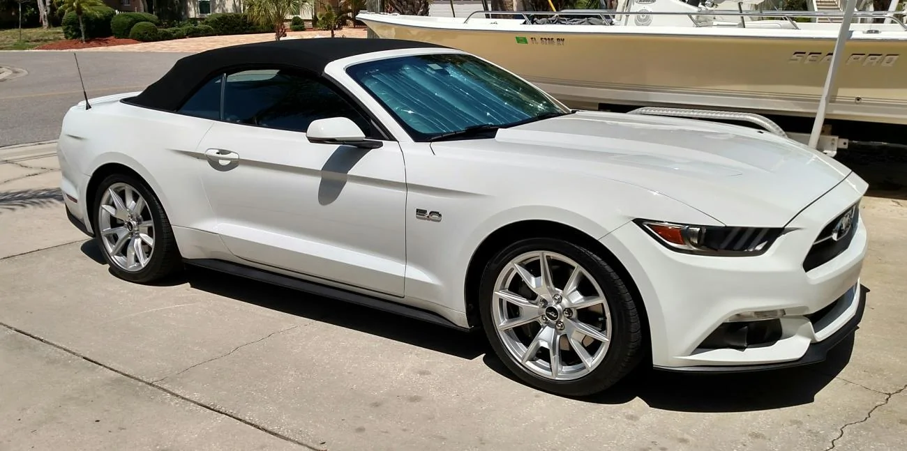 Stang