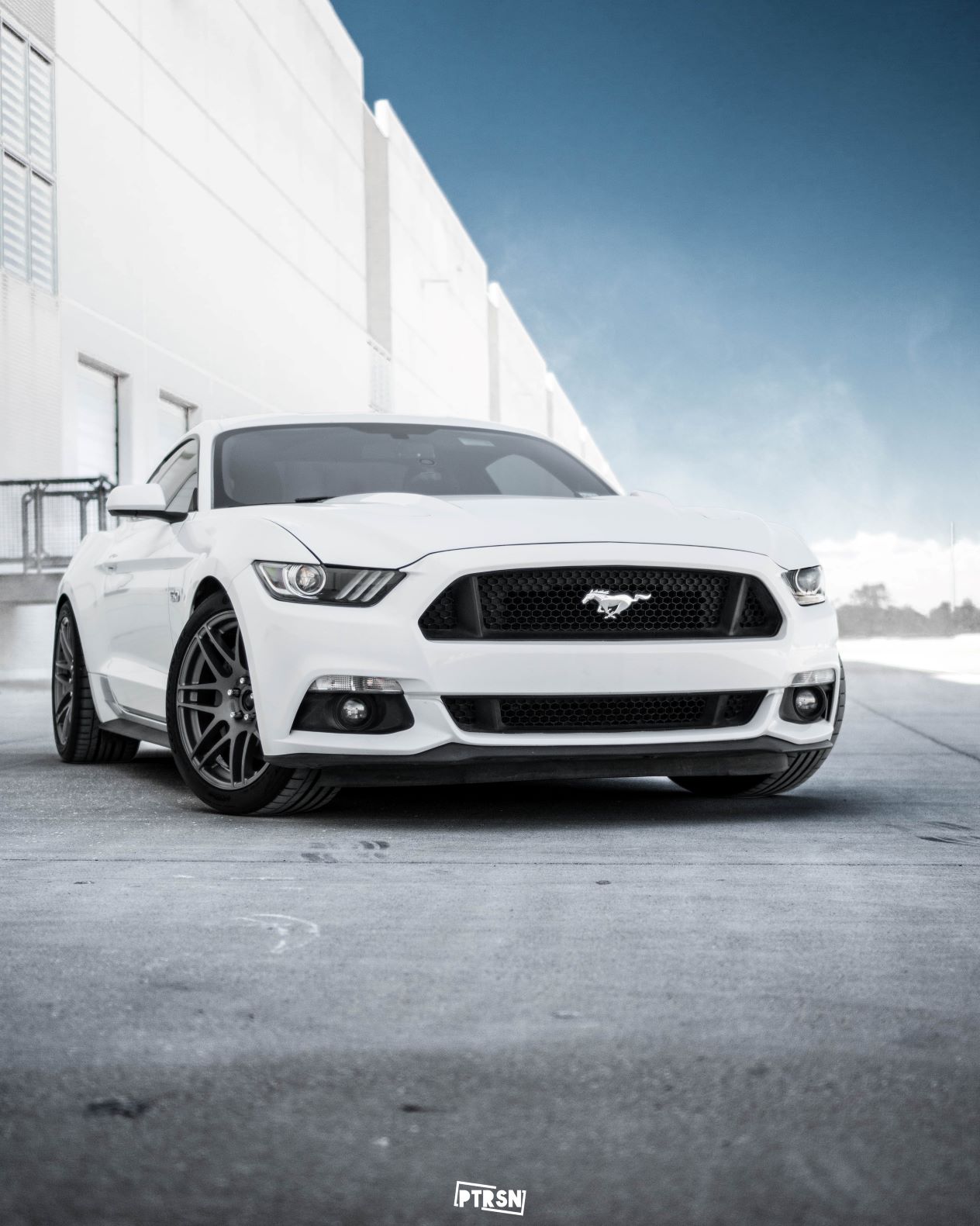 Chris' Mustang | 2015+ S550 Mustang Forum (GT, EcoBoost, GT350, GT500 ...