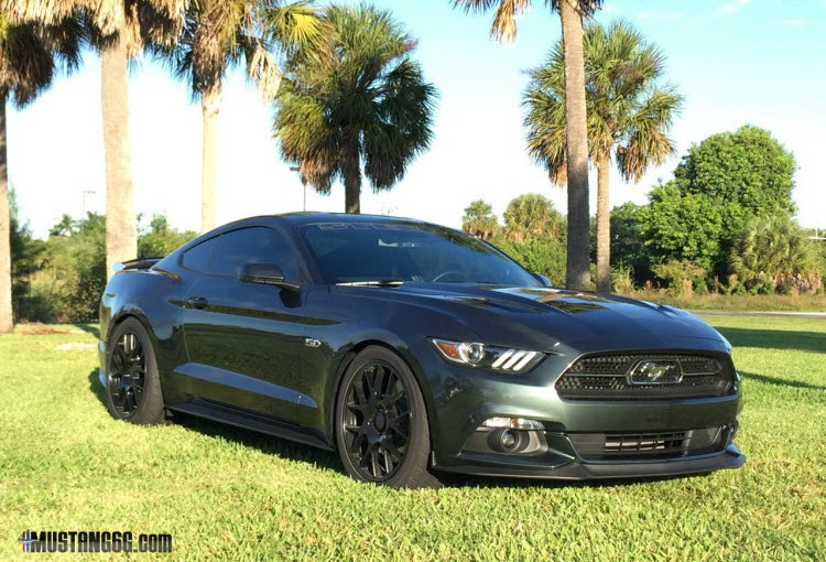 Steeda vs ford racing springs #2