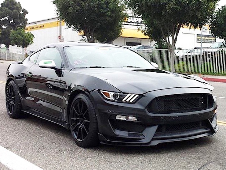 2016 Shelby Gt350 Mustang And Out In The Wild 2017 2016 Shelby Gt350 Mustang And Out In The Wild 2017 Forum News Blog S550 Gt Gt500 I4 V6 Mustang6g Ultimate 6th