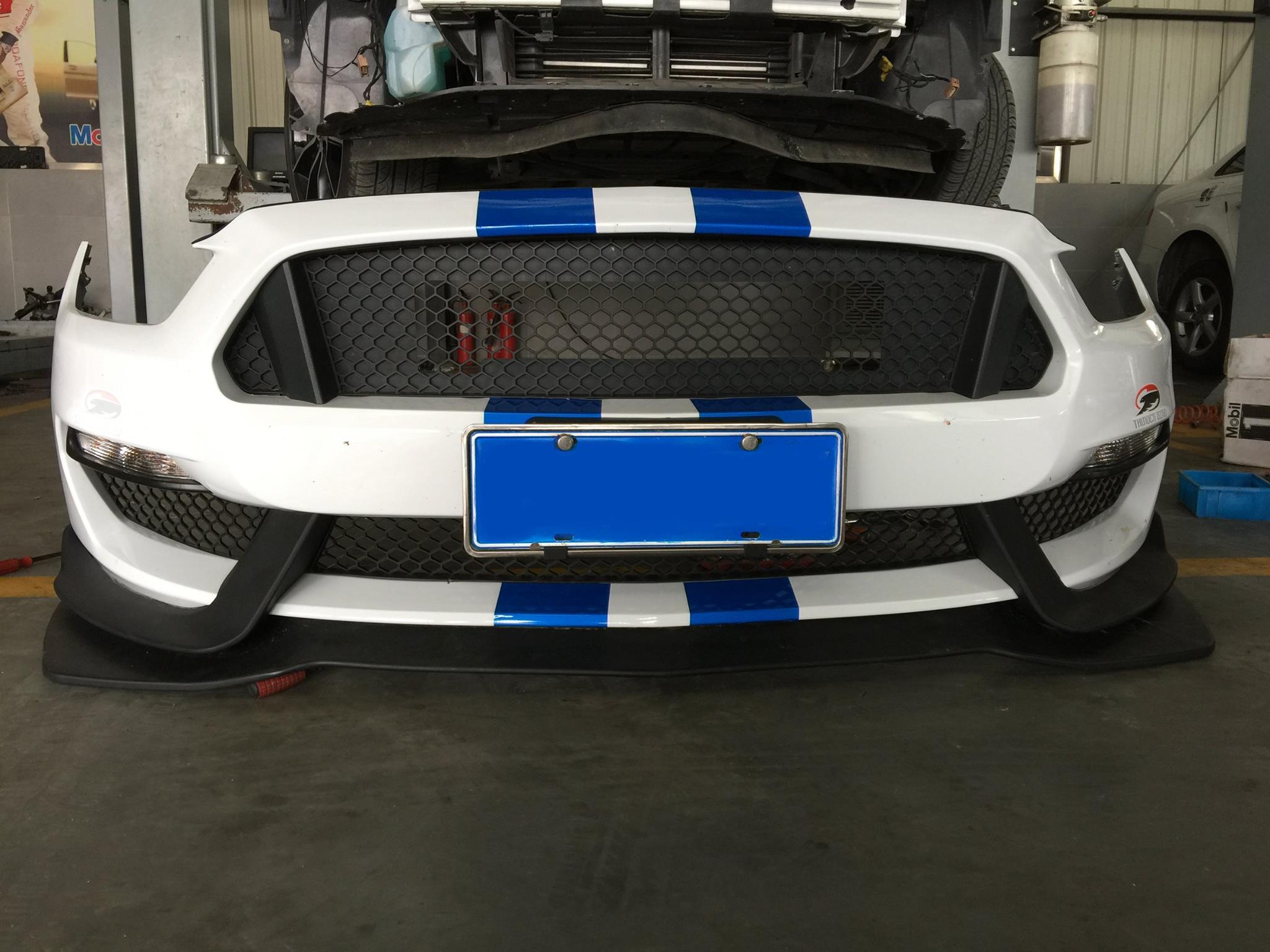 Mustang 6G Forum - zgbsbon